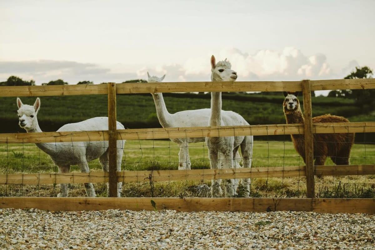 The Hay Barn - Hopewell Villa Bristol Exterior photo